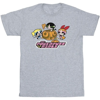 textil Hombre Camisetas manga larga The Powerpuff Girls Girls Pumpkin Gris