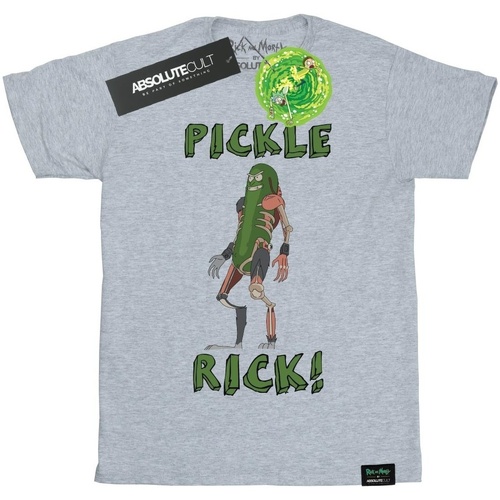 textil Hombre Camisetas manga larga Rick And Morty BI52529 Gris