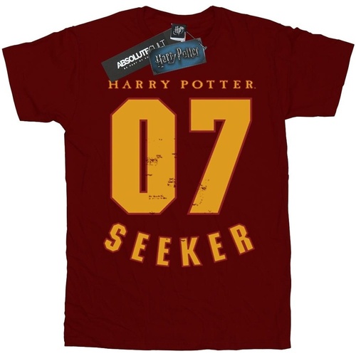 textil Niño Tops y Camisetas Harry Potter Seeker 07 Multicolor