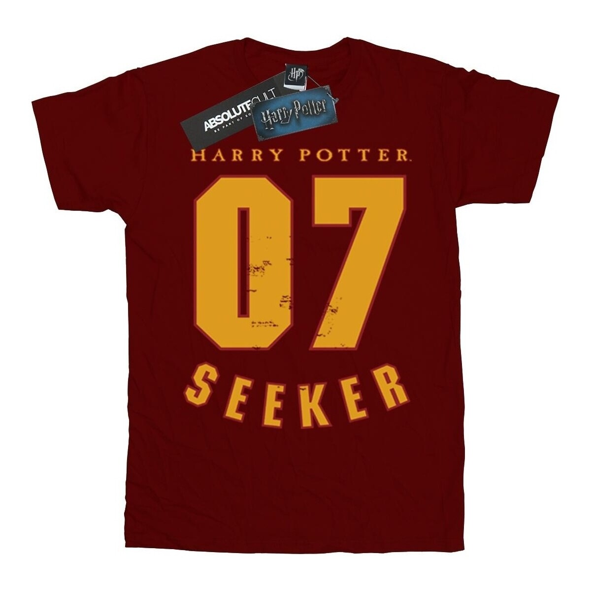 textil Niño Camisetas manga corta Harry Potter Seeker 07 Multicolor