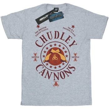 textil Niño Tops y Camisetas Harry Potter Chudley Cannons Logo Gris