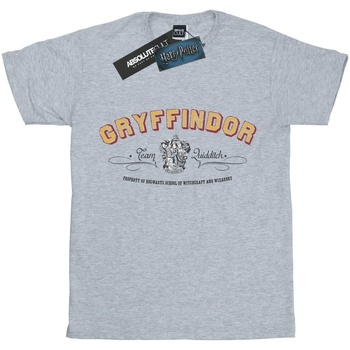 textil Niño Camisetas manga corta Harry Potter Gryffindor Team Quidditch Gris