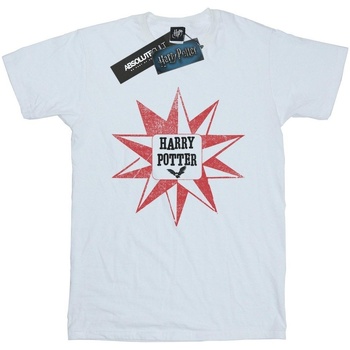 textil Niño Camisetas manga corta Harry Potter Hedwig Star Blanco