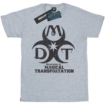 textil Niño Camisetas manga corta Harry Potter Department Of Magical Transportation Logo Gris