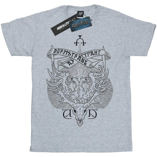 textil Niño Tops y Camisetas Harry Potter Durmstrang Institute Crest Gris