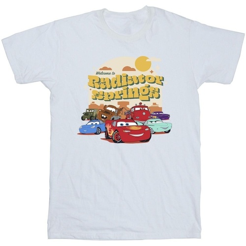 textil Niña Camisetas manga larga Disney Cars Radiator Springs Group Blanco