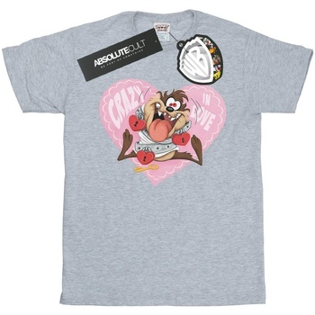 textil Hombre Camisetas manga larga Dessins Animés Taz Valentine's Day Crazy In Love Gris