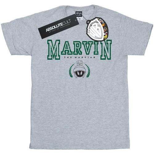 textil Hombre Camisetas manga larga Dessins Animés Marvin The Martian Gris