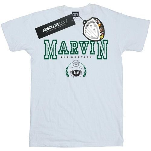 textil Hombre Camisetas manga larga Dessins Animés Marvin The Martian Blanco