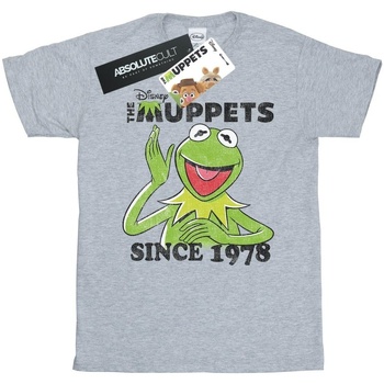 textil Hombre Camisetas manga larga Disney The Muppets Kermit Since 1978 Gris