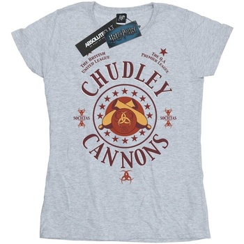 Harry Potter Chudley Cannons Logo Gris