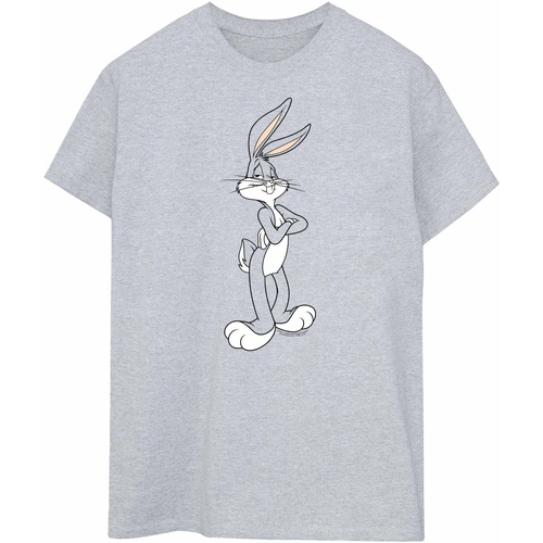 textil Mujer Camisetas manga larga Dessins Animés Bugs Bunny Crossed Arms Gris