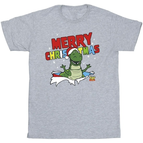textil Hombre Camisetas manga larga Disney Toy Story Rex Christmas Burst Gris