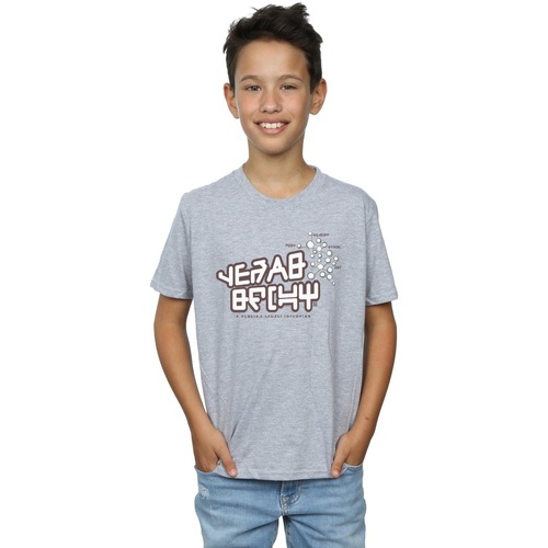 textil Niño Tops y Camisetas Marvel Guardians Of The Galaxy Star Lord Text Gris