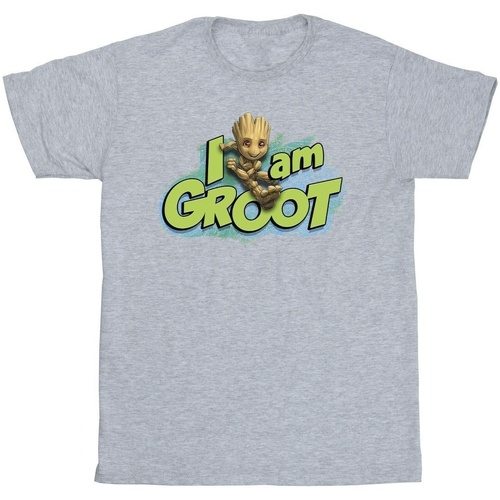textil Niña Camisetas manga larga Marvel Guardians Of The Galaxy I Am Groot Jumping Gris