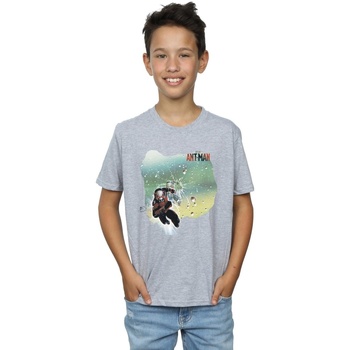 textil Niño Tops y Camisetas Marvel Ant-Man Shatter Gris