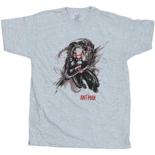 textil Niño Camisetas manga corta Marvel Ant-Man Running Gris