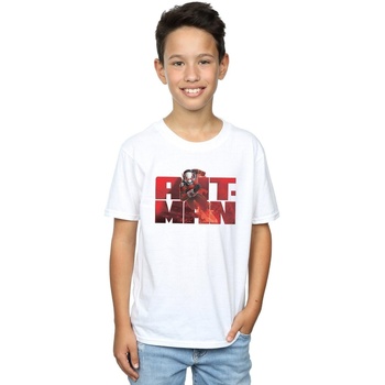 textil Niño Tops y Camisetas Marvel Ant-Man Running Blanco
