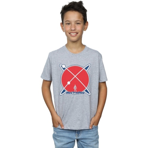 textil Niño Tops y Camisetas Marvel Ant-Man Planet Logo Gris