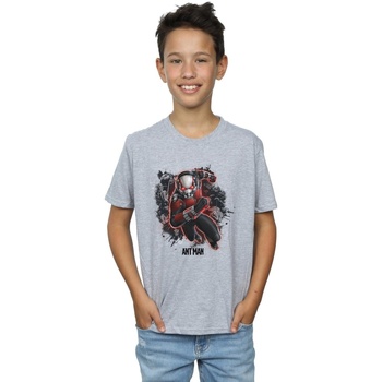 textil Niño Camisetas manga corta Marvel Ant-Man Ants Running Gris