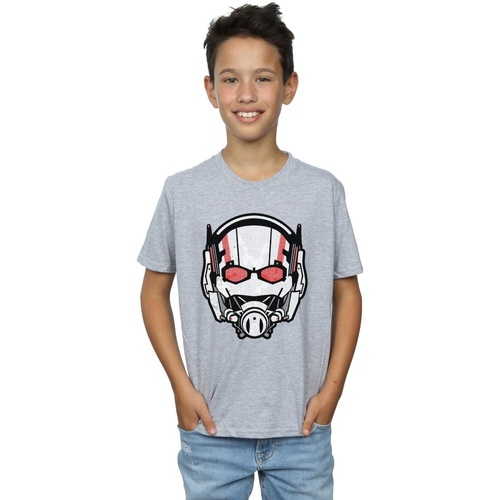 textil Niño Camisetas manga corta Marvel Ant-Man Helmet Distressed Gris