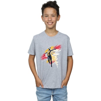 textil Niño Camisetas manga corta Marvel Ant-Man And The Wasp Hope Brushed Gris