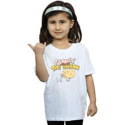 textil Niña Camisetas manga larga Animaniacs Pinky And The Brain Cheese Head Blanco