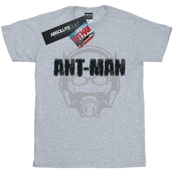 textil Niña Camisetas manga larga Marvel Ant-Man Helmet Fade Gris
