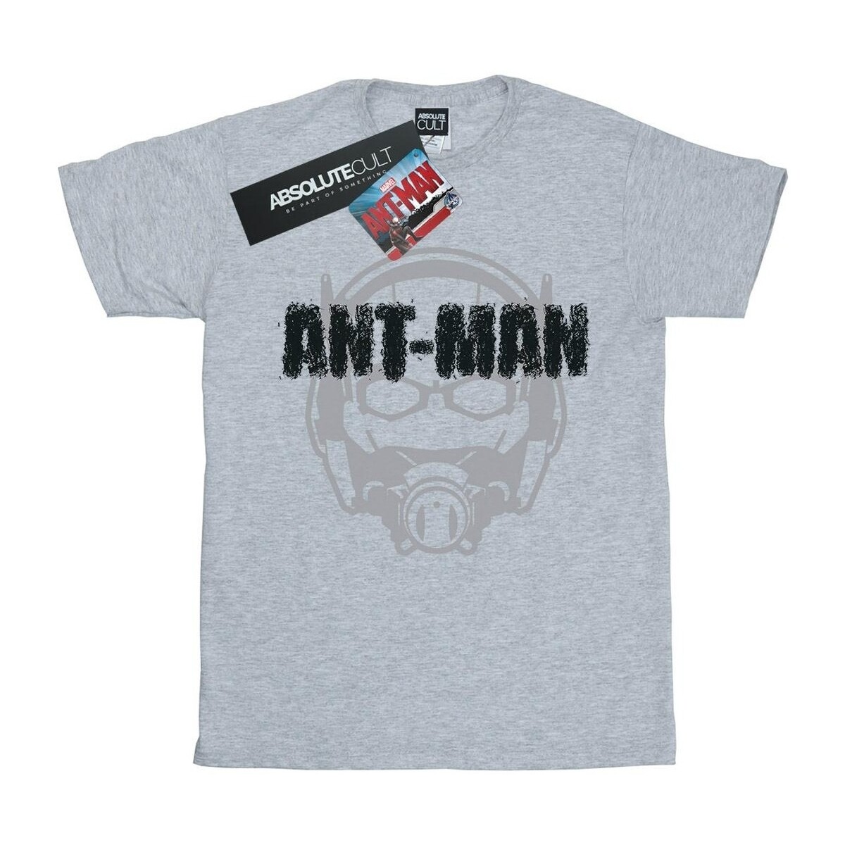 textil Niña Camisetas manga larga Marvel Ant-Man Helmet Fade Gris