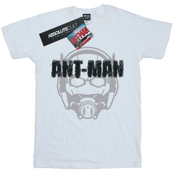 textil Niña Camisetas manga larga Marvel Ant-Man Helmet Fade Blanco