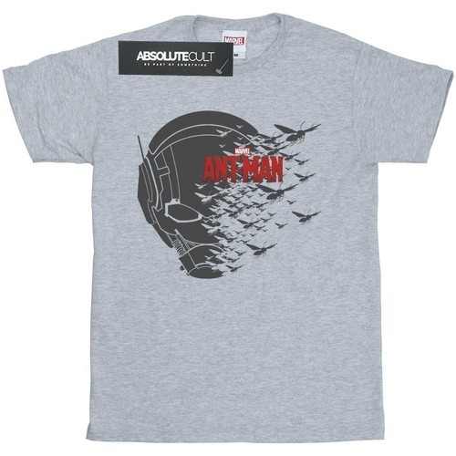 textil Niña Camisetas manga larga Marvel Ant-Man Flying Helmet Gris