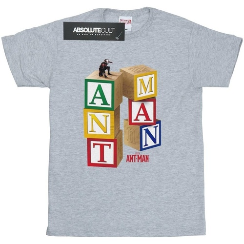 textil Niña Camisetas manga larga Marvel Ant-Man Blocks Gris