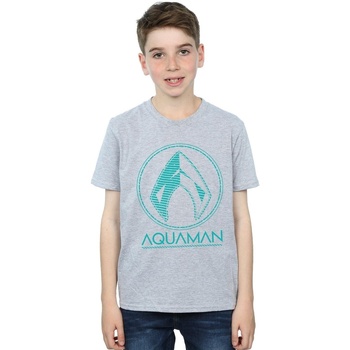 Dc Comics Aquaman Aqua Logo Gris