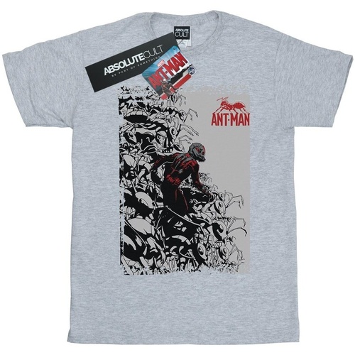 textil Niña Camisetas manga larga Marvel Ant-Man Army Gris