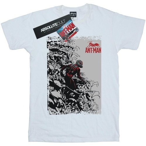 textil Niña Camisetas manga larga Marvel Ant-Man Army Blanco