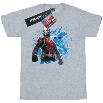 textil Niña Camisetas manga larga Marvel Ant-Man Standing Gris
