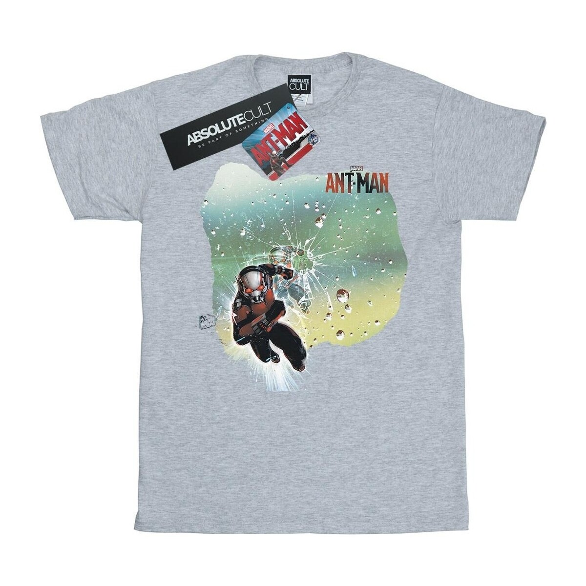 textil Niña Camisetas manga larga Marvel Ant-Man Shatter Gris