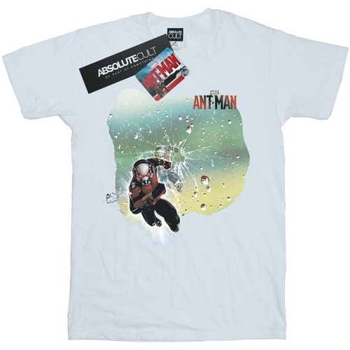 textil Niña Camisetas manga larga Marvel Ant-Man Shatter Blanco