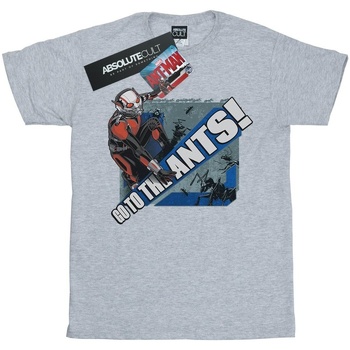textil Niña Camisetas manga larga Marvel Ant-Man Go To The Ants Gris
