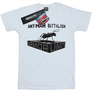 textil Niña Camisetas manga larga Marvel Ant-Man Batallion Blanco