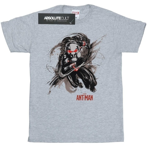 textil Niña Camisetas manga larga Marvel Ant-Man Running Gris
