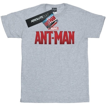 textil Niña Camisetas manga larga Marvel Ant-Man Movie Logo Gris