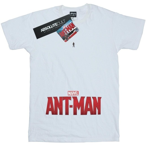 textil Niña Camisetas manga larga Marvel Ant-Man Ant Sized Logo Blanco