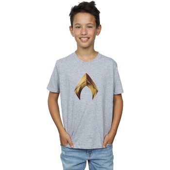 textil Niño Camisetas manga corta Dc Comics Aquaman Emblem Gris