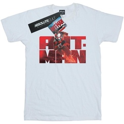 textil Niña Camisetas manga larga Marvel Ant-Man Running Blanco