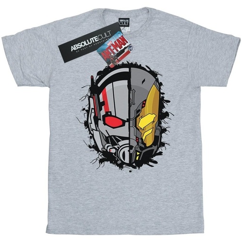 textil Niña Camisetas manga larga Marvel Ant-Man Split Helmet Gris