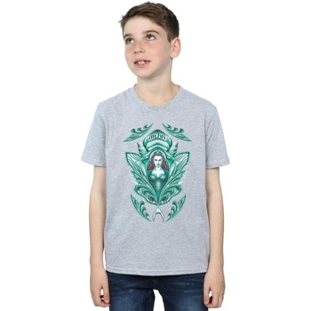 textil Niño Camisetas manga corta Dc Comics Aquaman Mera Crest Gris