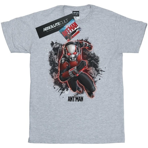 textil Niña Camisetas manga larga Marvel Ant-Man Ants Running Gris