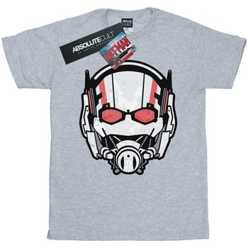 textil Niña Camisetas manga larga Marvel Ant-Man Helmet Distressed Gris