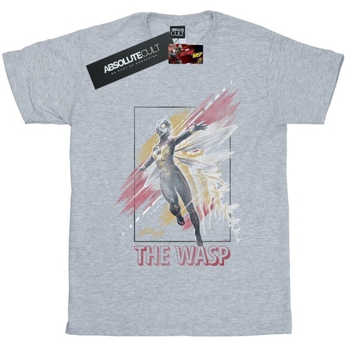 textil Niña Camisetas manga larga Marvel Ant-Man And The Wasp Framed Wasp Gris